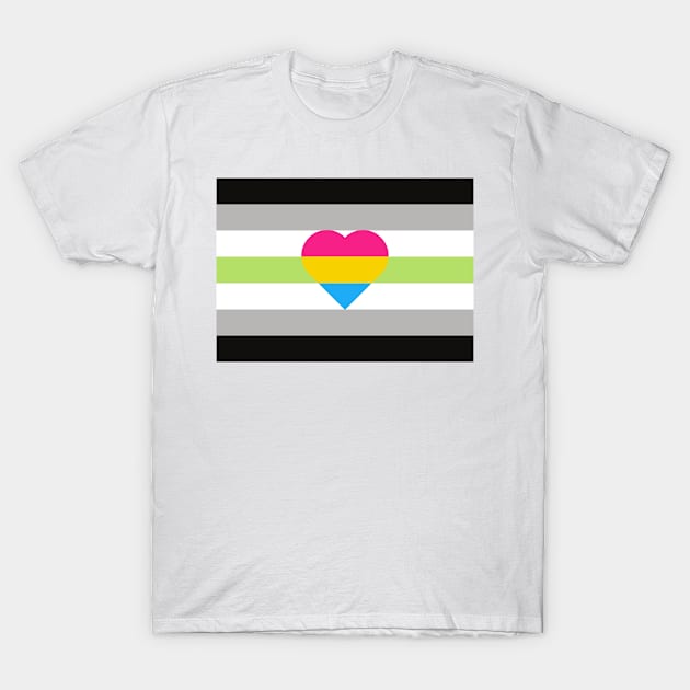 Agender and Pansexual T-Shirt by Ceconner92